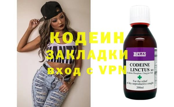 apvp Каменка