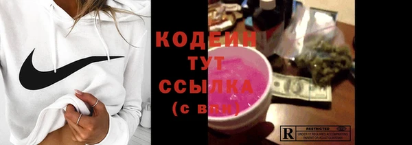 apvp Каменка