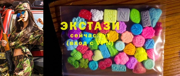 apvp Каменка