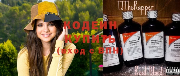 apvp Каменка